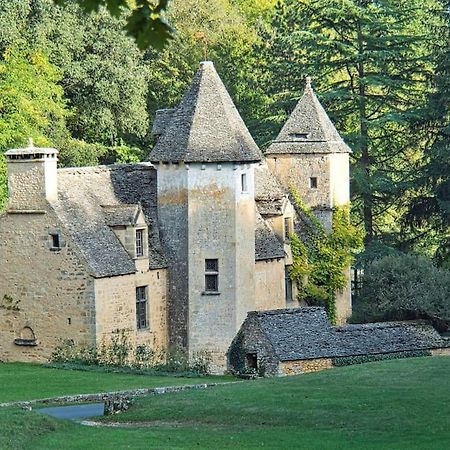 Logement D'Exception Dans Le Chateau De Lacypierre Saint-Crepin-et-Carlucet Luaran gambar